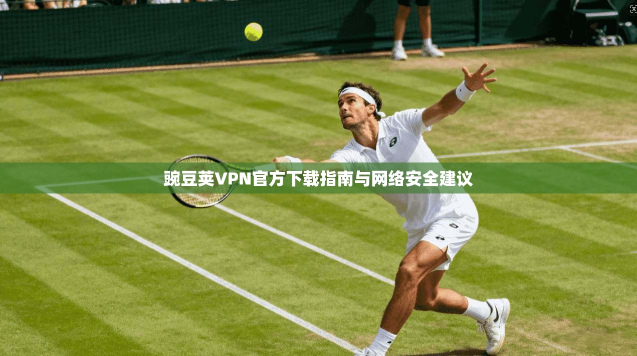 豌豆荚VPN官方下载指南与网络安全建议  第1张