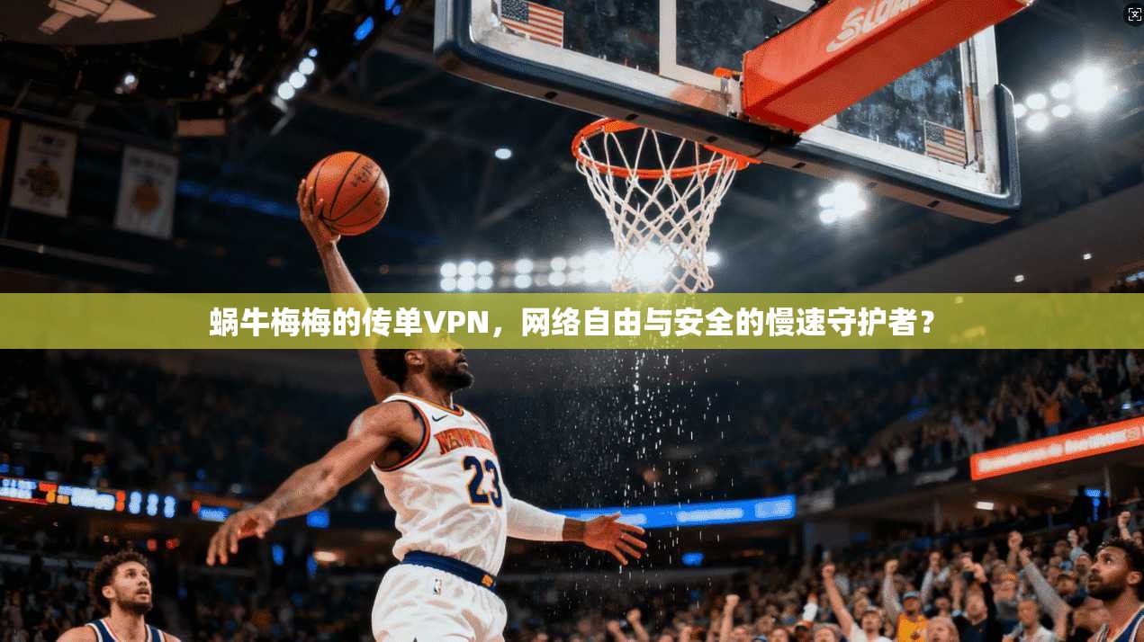 蜗牛梅梅的传单VPN,网络自由与安全的慢速守护者?