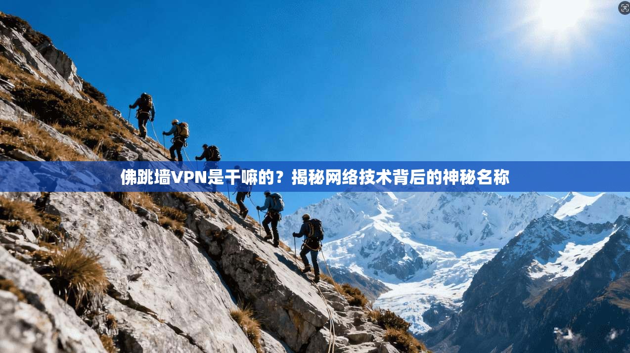 佛跳墙VPN是干嘛的?揭秘网络技术背后的神秘名称