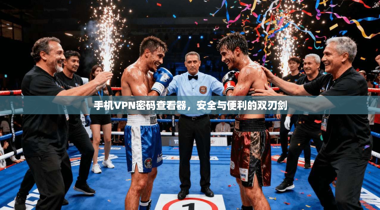 手机VPN密码查看器，安全与便利的双刃剑