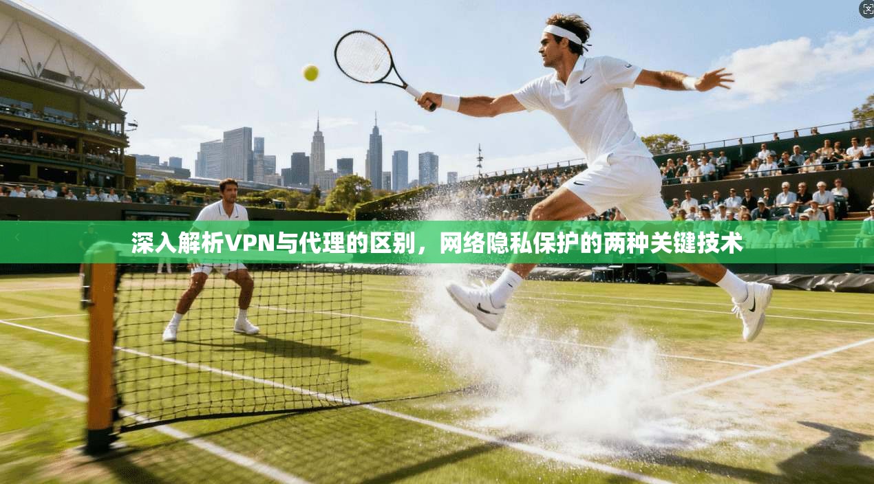 深入解析VPN与代理的区别，网络隐私保护的两种关键技术