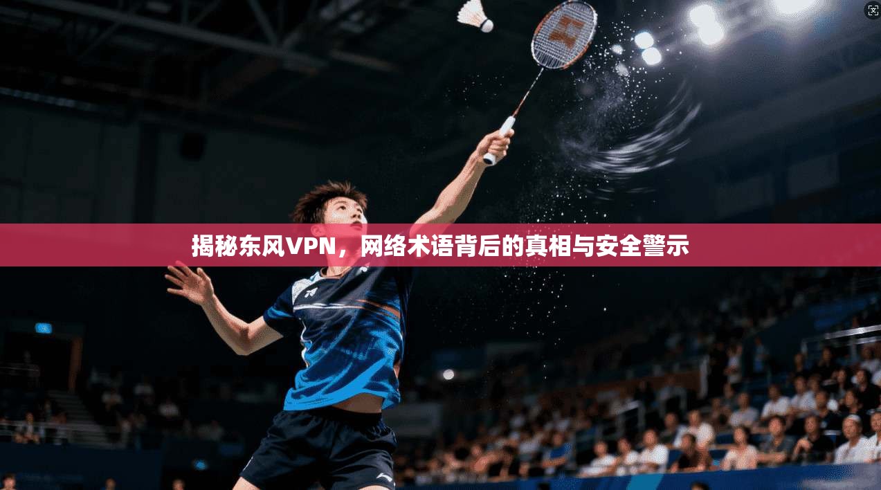 揭秘东风VPN，网络术语背后的真相与安全警示