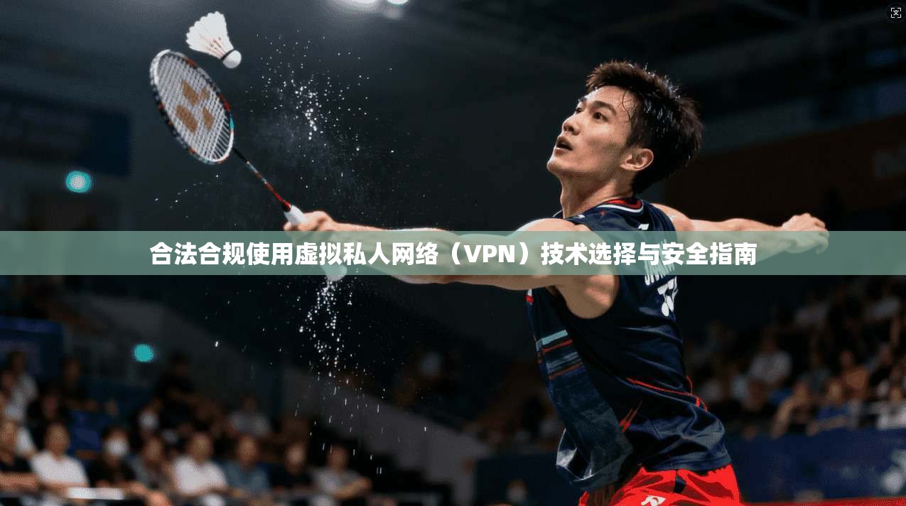 合法合规使用虚拟私人网络（VPN）技术选择与安全指南