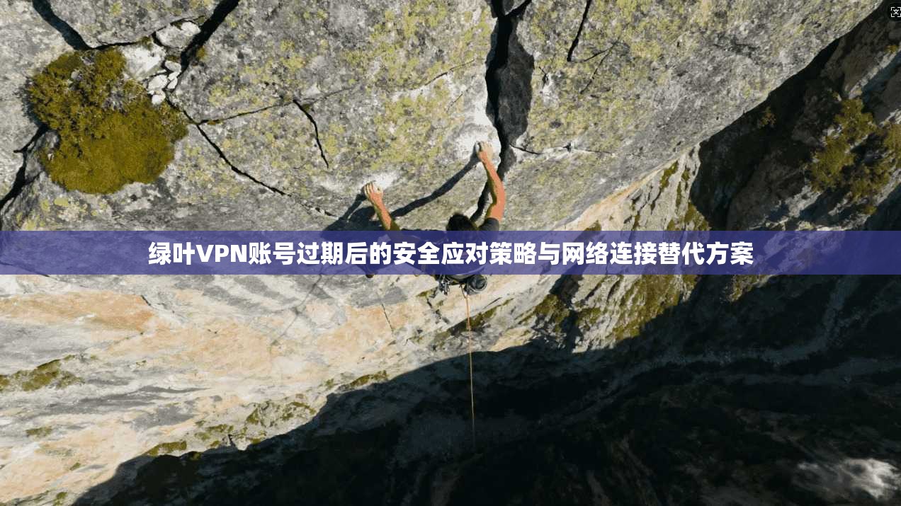 绿叶VPN账号过期后的安全应对策略与网络连接替代方案