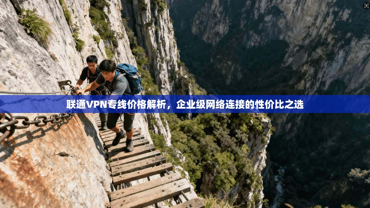 联通VPN专线价格解析，企业级网络连接的性价比之选