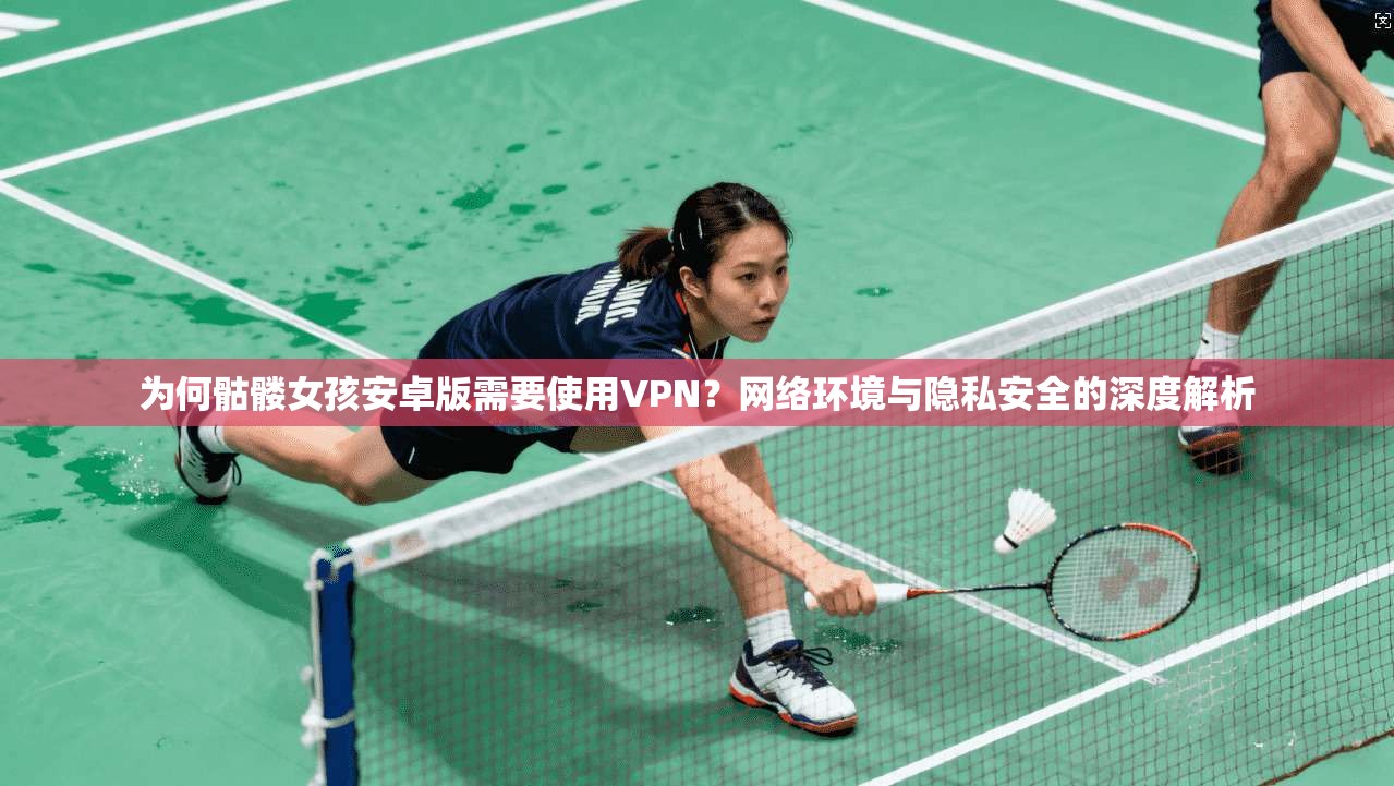 为何骷髅女孩安卓版需要使用VPN？网络环境与隐私安全的深度解析