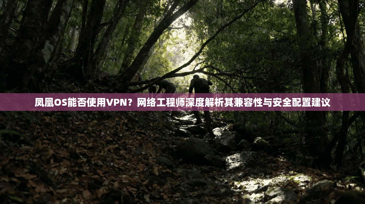 凤凰OS能否使用VPN？网络工程师深度解析其兼容性与安全配置建议