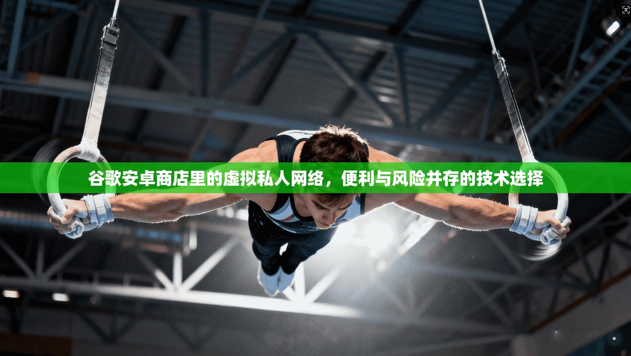 谷歌安卓商店里的虚拟私人网络,便利与风险并存的技术选择