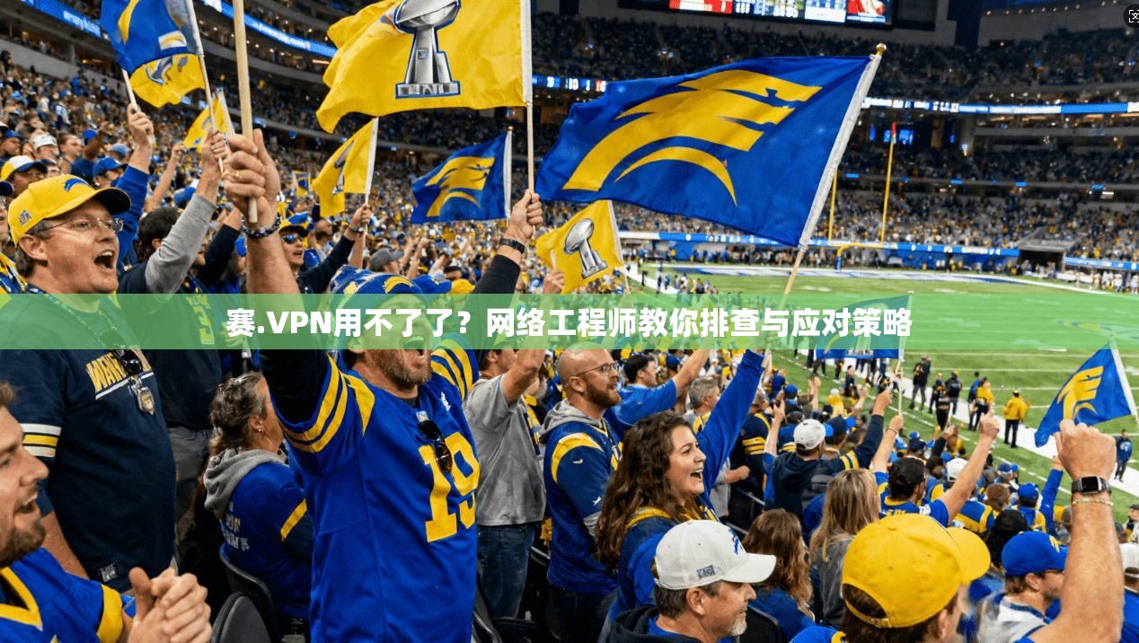 赛.VPN用不了了?网络工程师教你排查与应对策略
