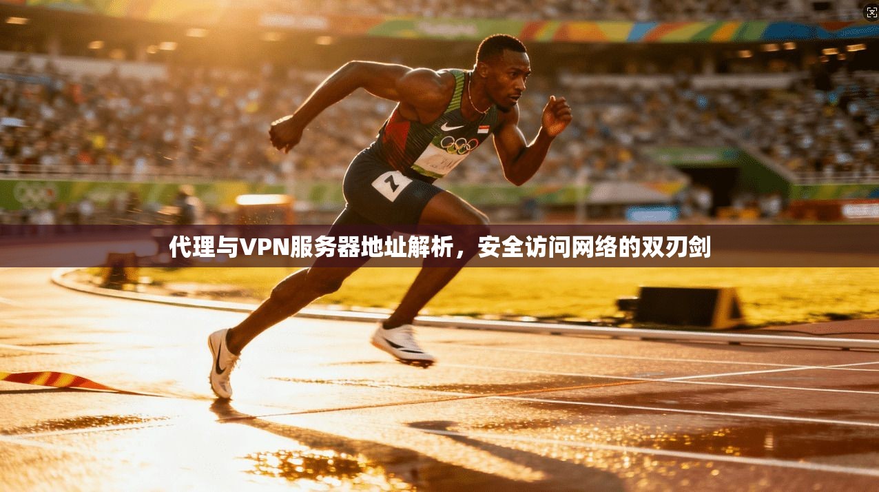 代理与VPN服务器地址解析，安全访问网络的双刃剑