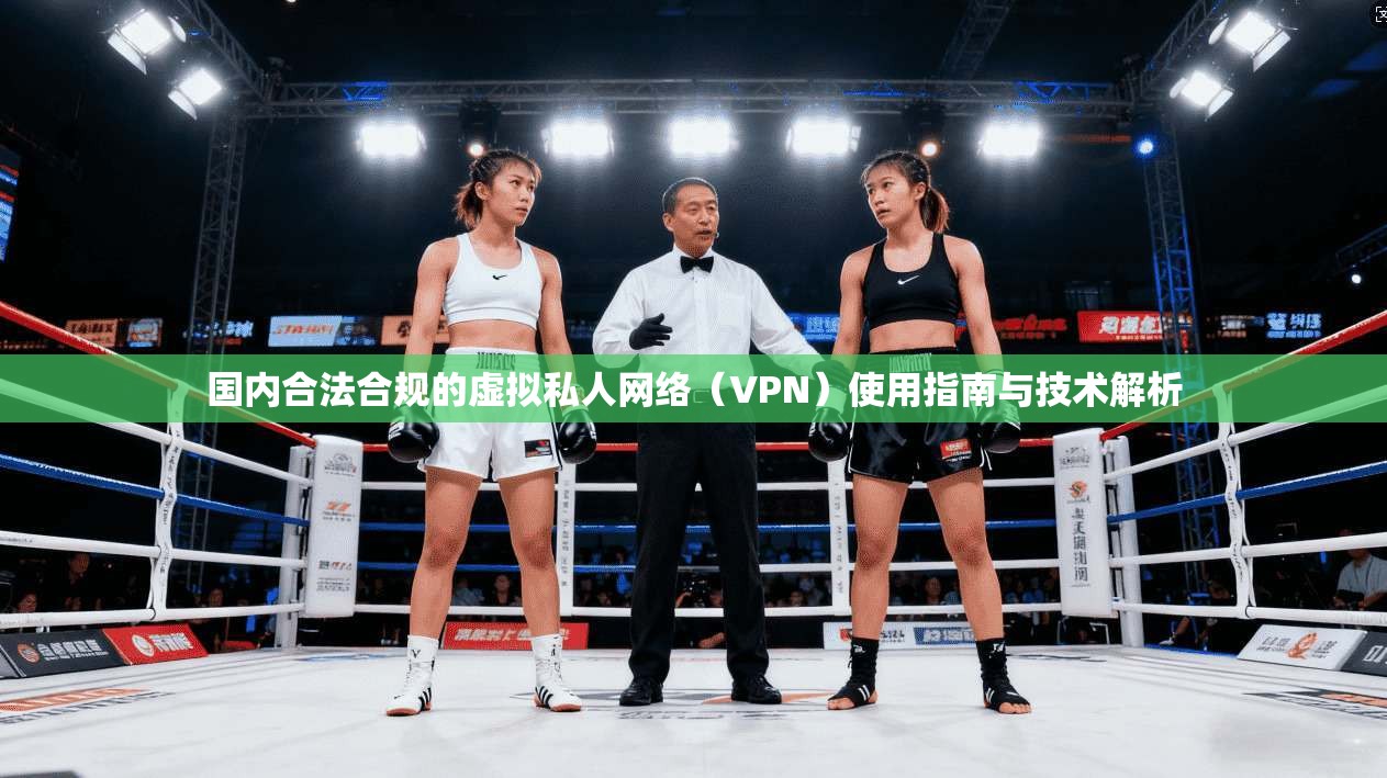 国内合法合规的虚拟私人网络（VPN）使用指南与技术解析