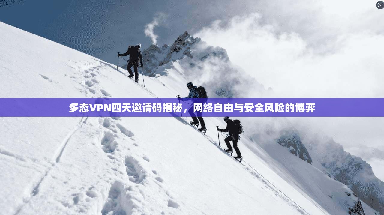 多态VPN四天邀请码揭秘，网络自由与安全风险的博弈