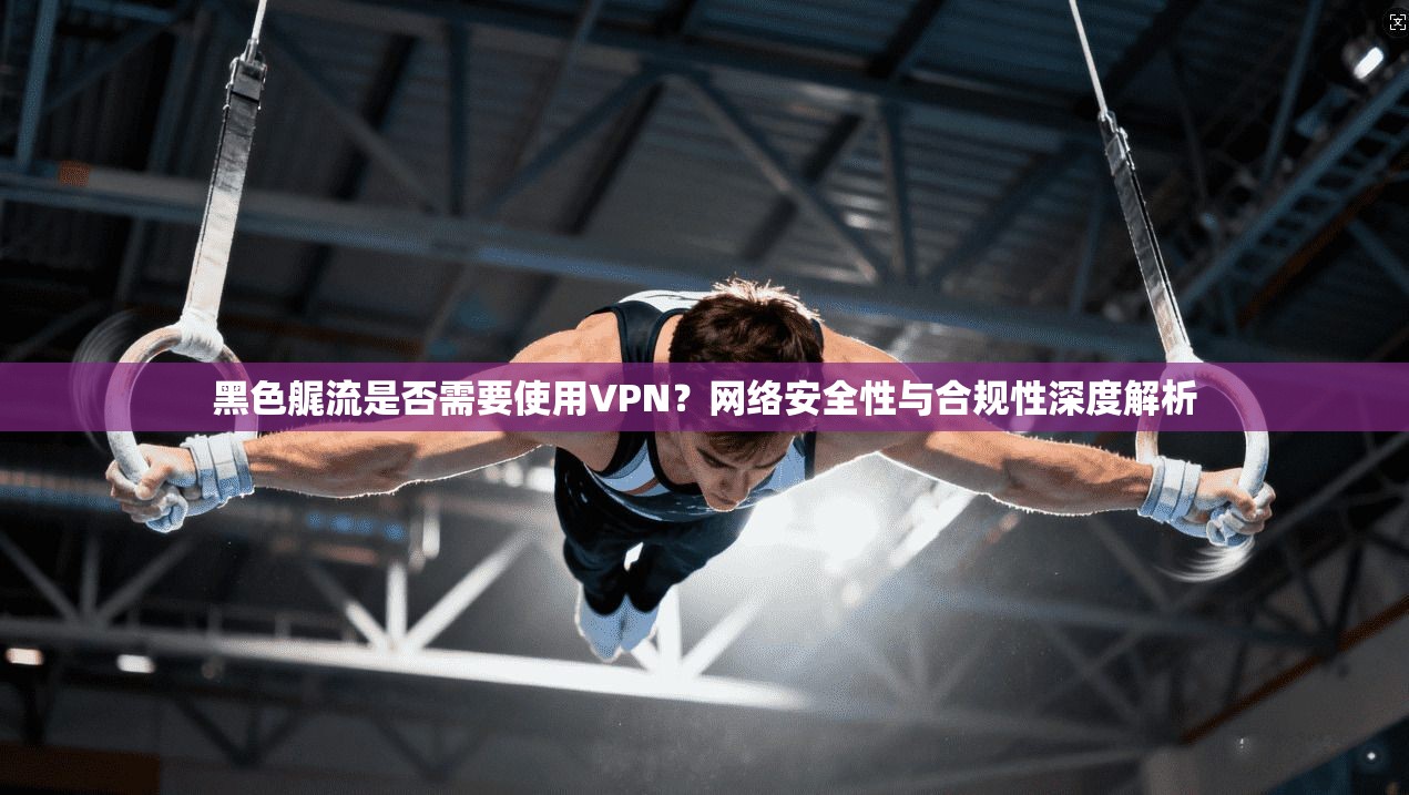 黑色艉流是否需要使用VPN？网络安全性与合规性深度解析