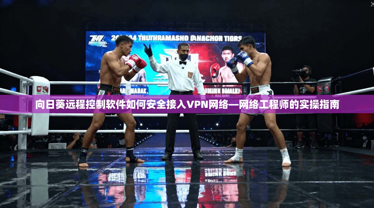 向日葵远程控制软件如何安全接入VPN网络—网络工程师的实操指南