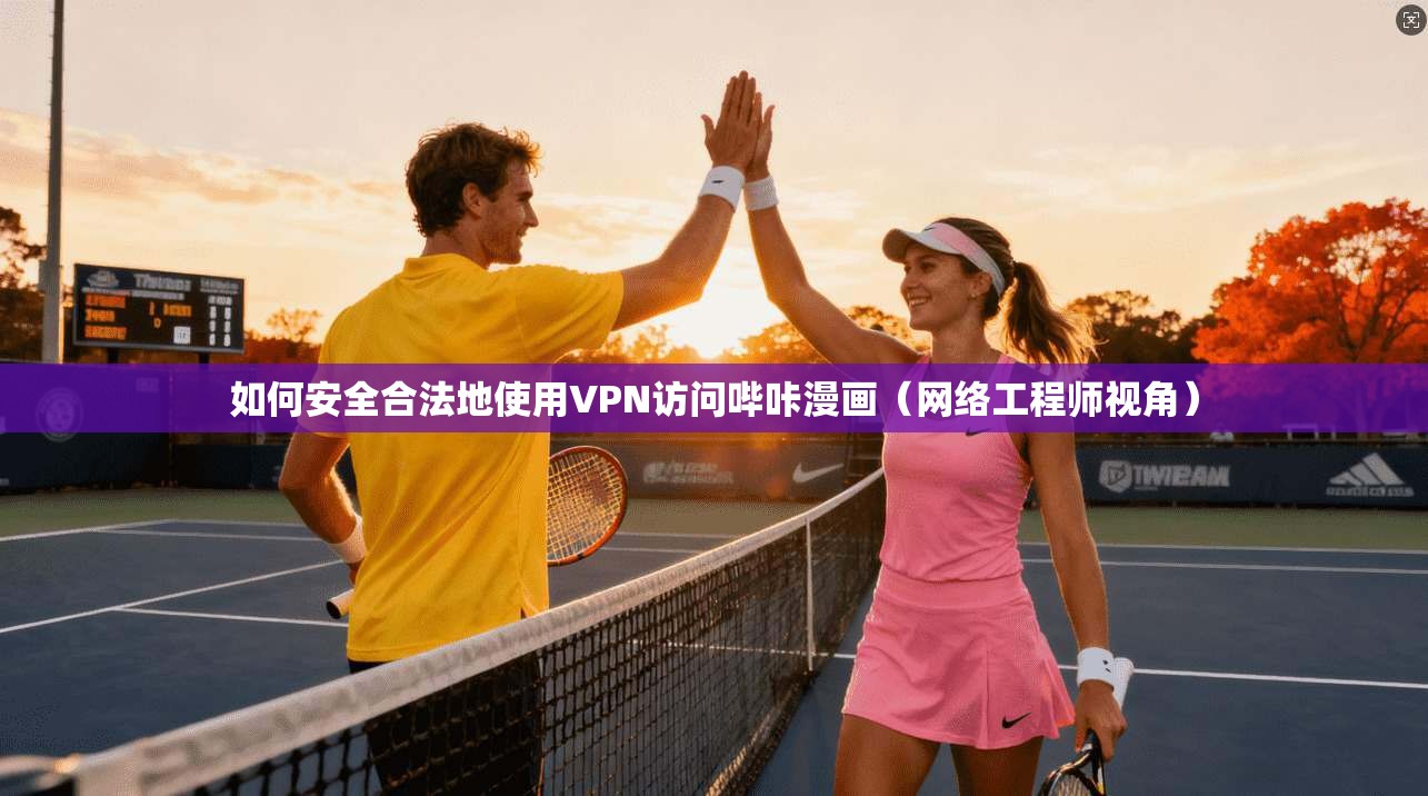 如何安全合法地使用VPN访问哔咔漫画（网络工程师视角）