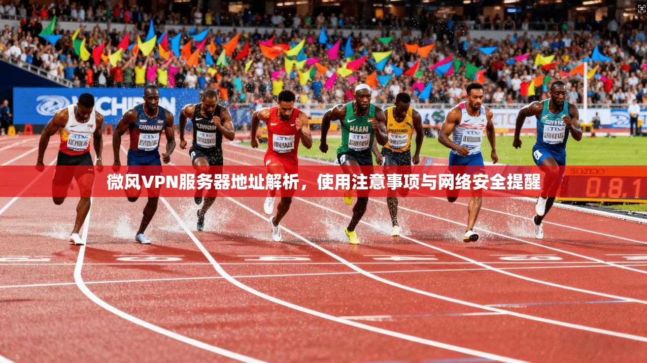 微风VPN服务器地址解析,使用注意事项与网络安全提醒