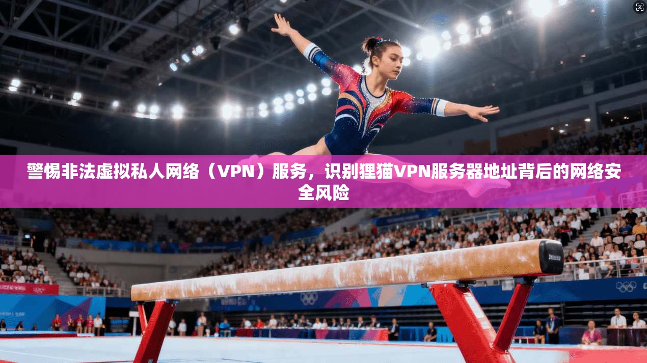 警惕非法虚拟私人网络（VPN）服务，识别狸猫VPN服务器地址背后的网络安全风险