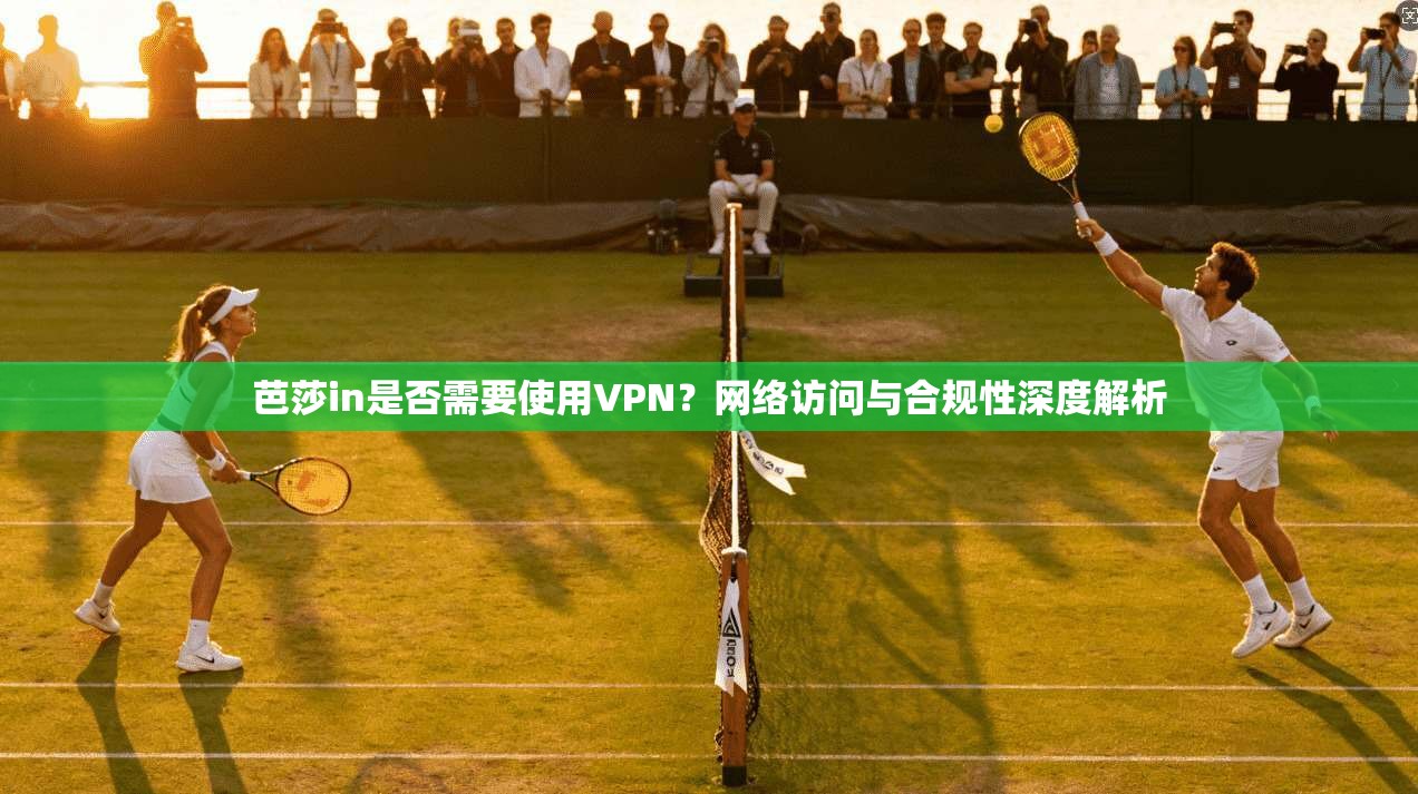 芭莎in是否需要使用VPN?网络访问与合规性深度解析