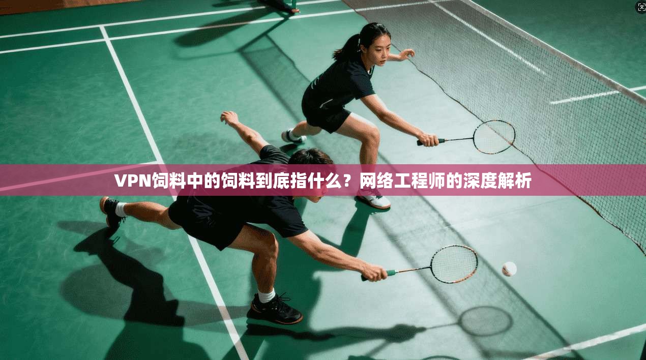 VPN饲料中的饲料到底指什么？网络工程师的深度解析