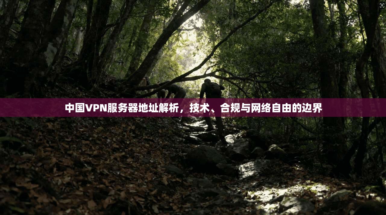 中国VPN服务器地址解析，技术、合规与网络自由的边界