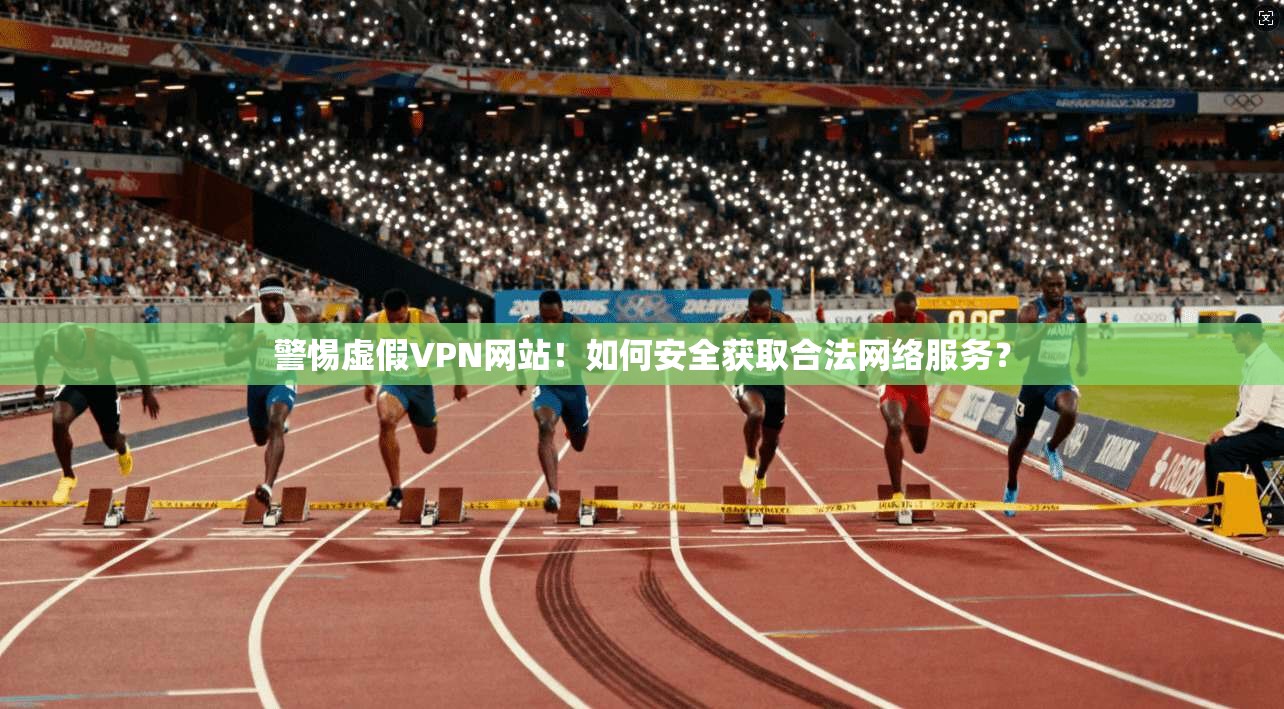 警惕虚假VPN网站!如何安全获取合法网络服务?