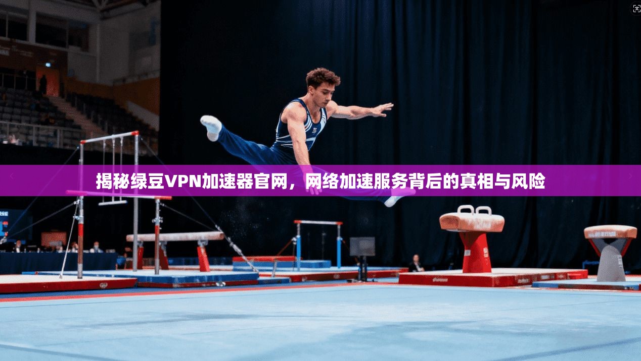 揭秘绿豆VPN加速器官网，网络加速服务背后的真相与风险