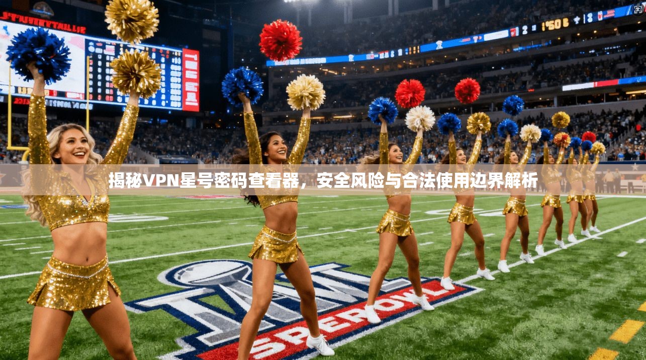 揭秘VPN星号密码查看器，安全风险与合法使用边界解析