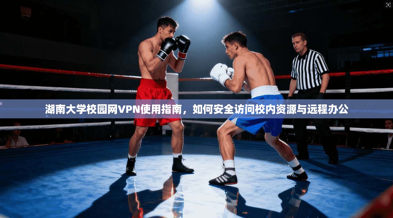 湖南大学校园网VPN使用指南，如何安全访问校内资源与远程办公