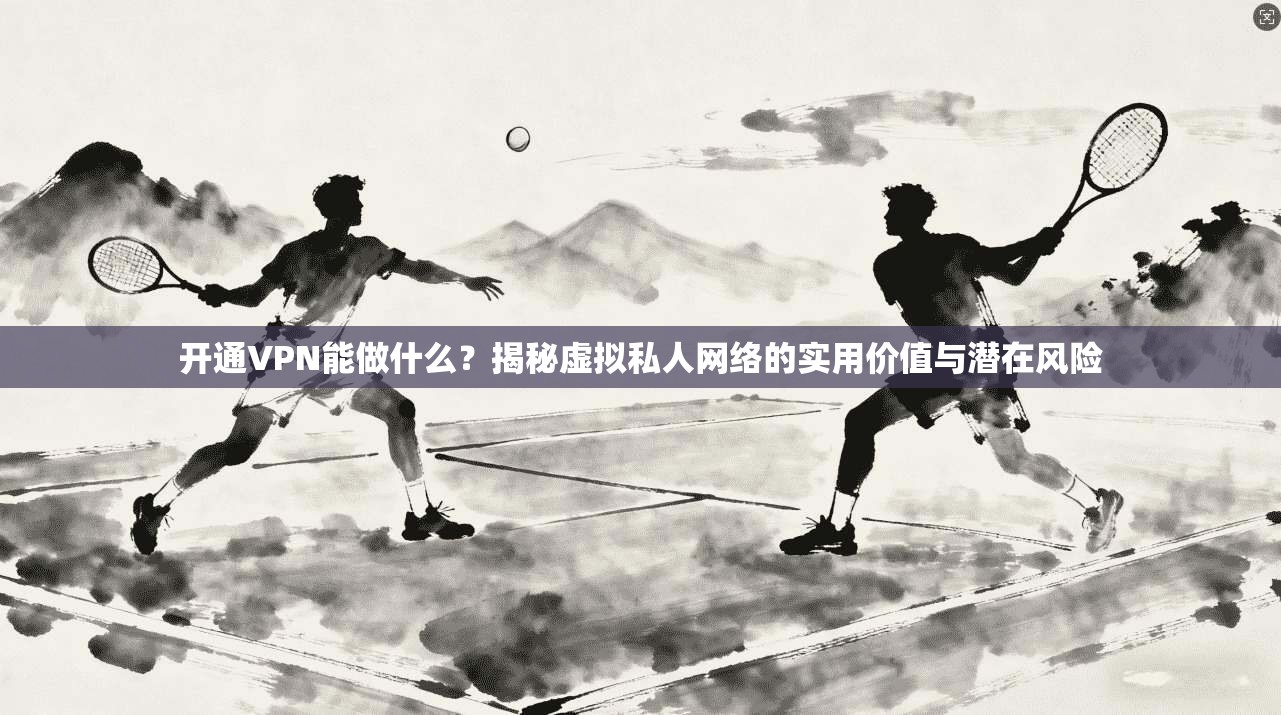 开通VPN能做什么？揭秘虚拟私人网络的实用价值与潜在风险