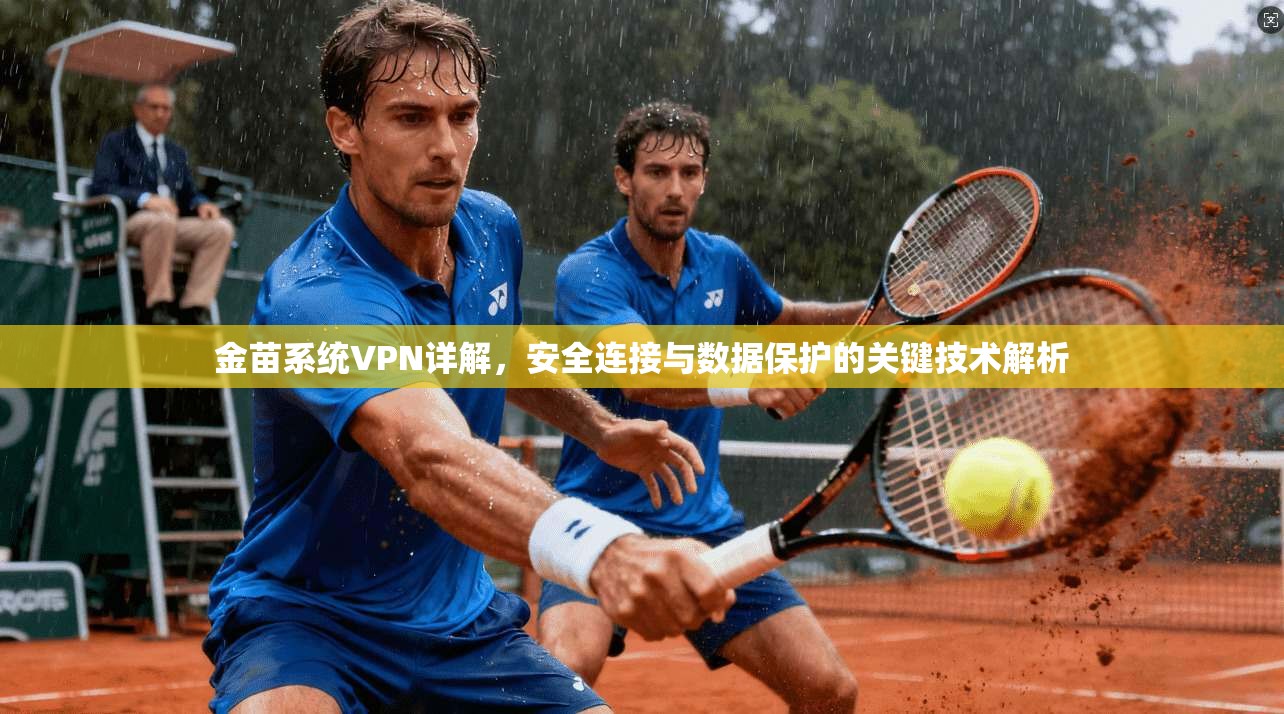 金苗系统VPN详解，安全连接与数据保护的关键技术解析