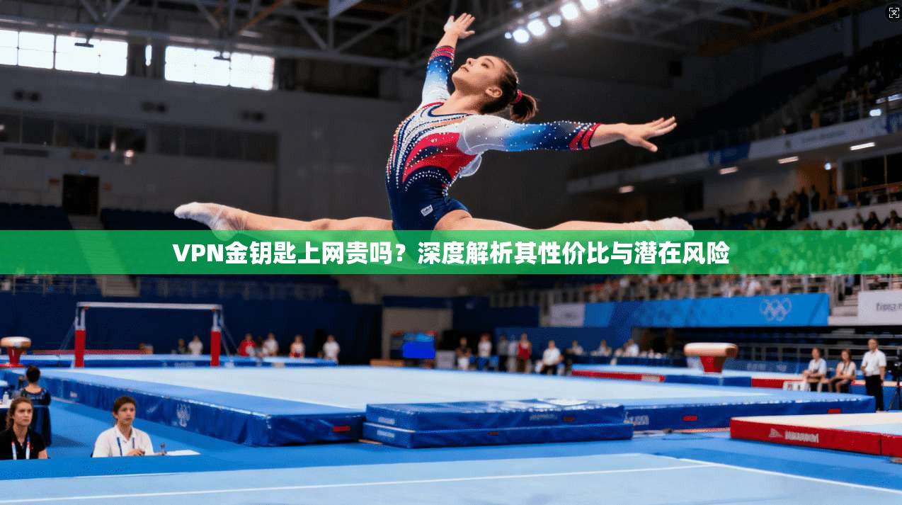 VPN金钥匙上网贵吗？深度解析其性价比与潜在风险