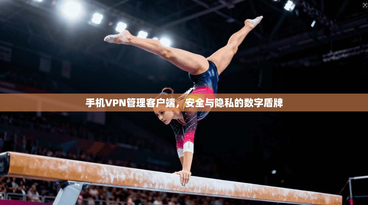 手机VPN管理客户端，安全与隐私的数字盾牌