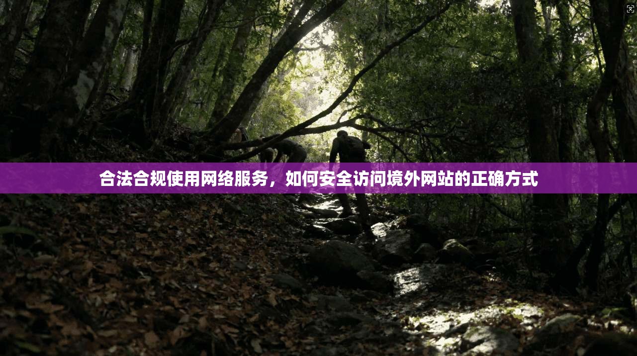 合法合规使用网络服务，如何安全访问境外网站的正确方式