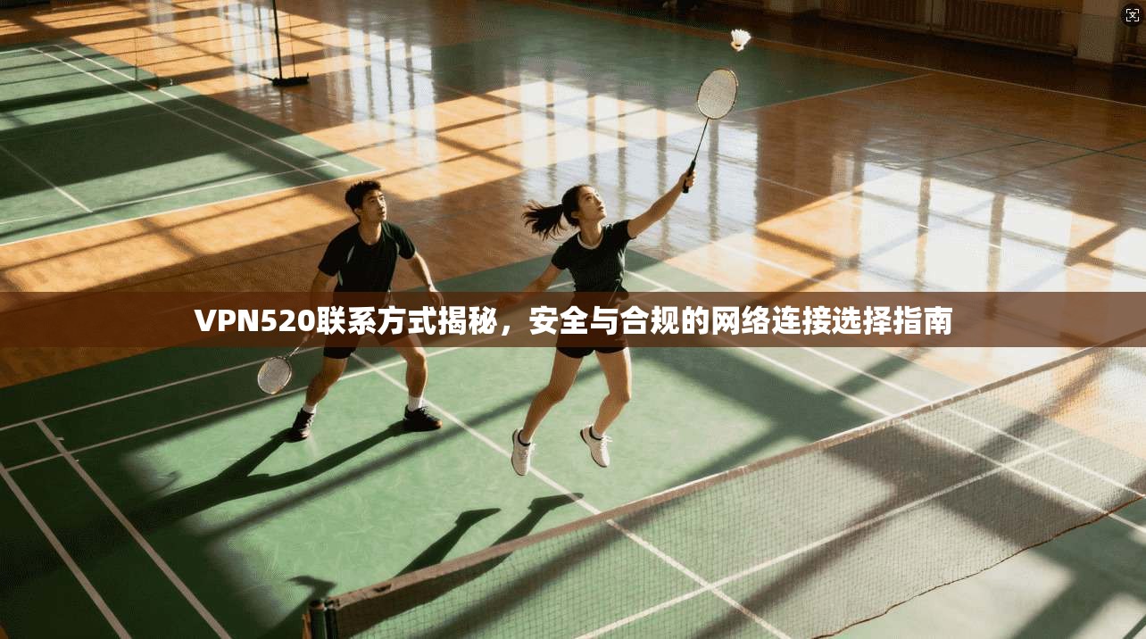 VPN520联系方式揭秘,安全与合规的网络连接选择指南
