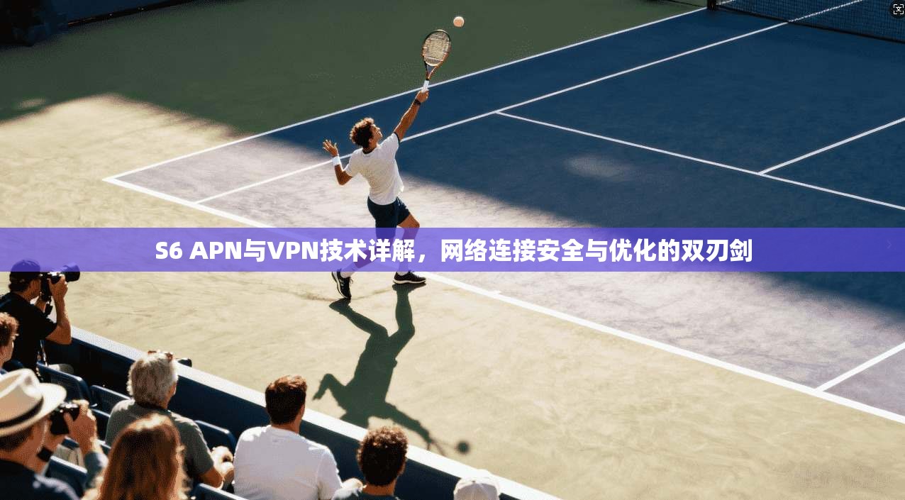 S6 APN与VPN技术详解,网络连接安全与优化的双刃剑