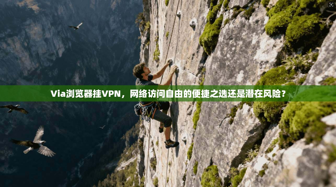 Via浏览器挂VPN，网络访问自由的便捷之选还是潜在风险？
