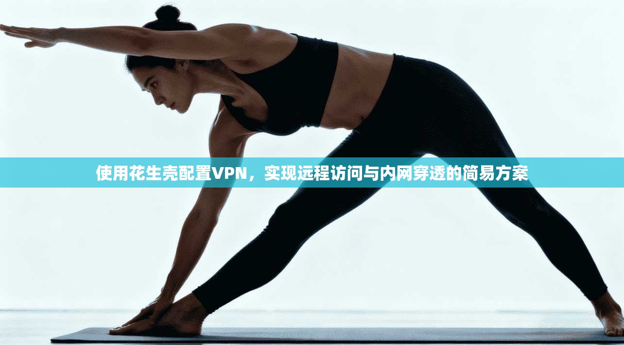 使用花生壳配置VPN,实现远程访问与内网穿透的简易方案 第1张 使用花生壳配置VPN,实现远程访问与内网穿透的简易方案 第1张