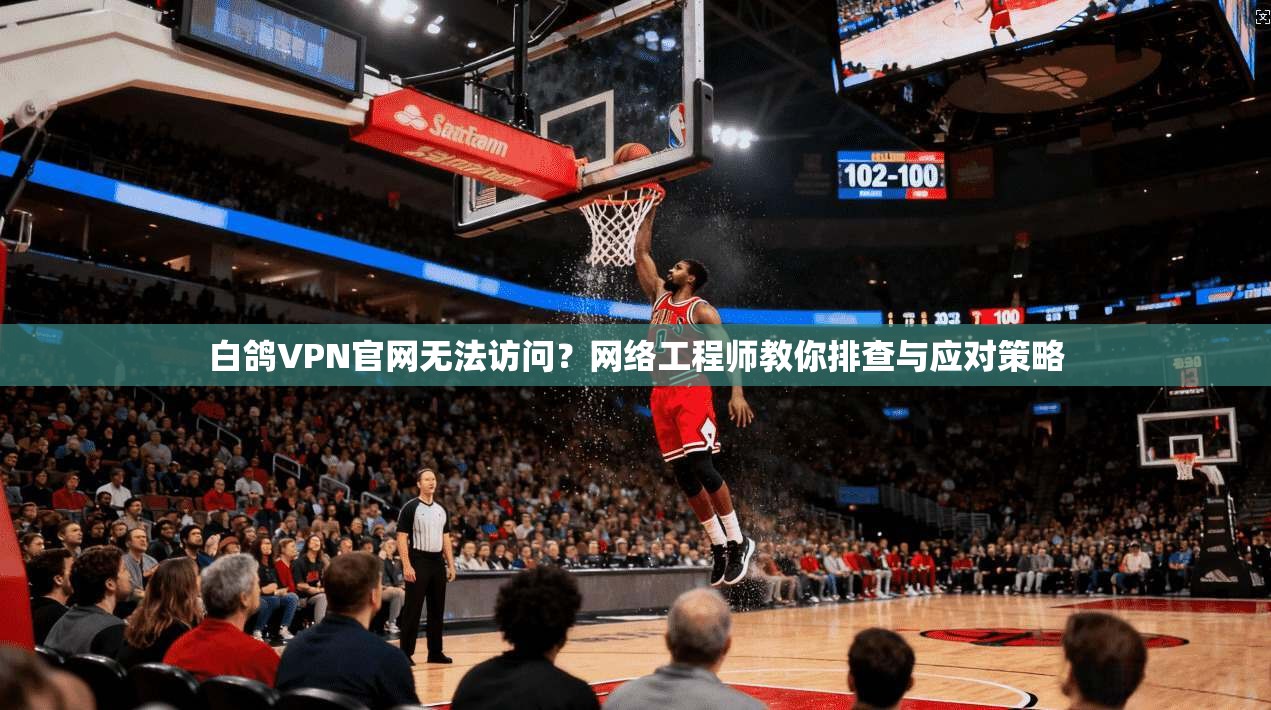 白鸽VPN官网无法访问?网络工程师教你排查与应对策略