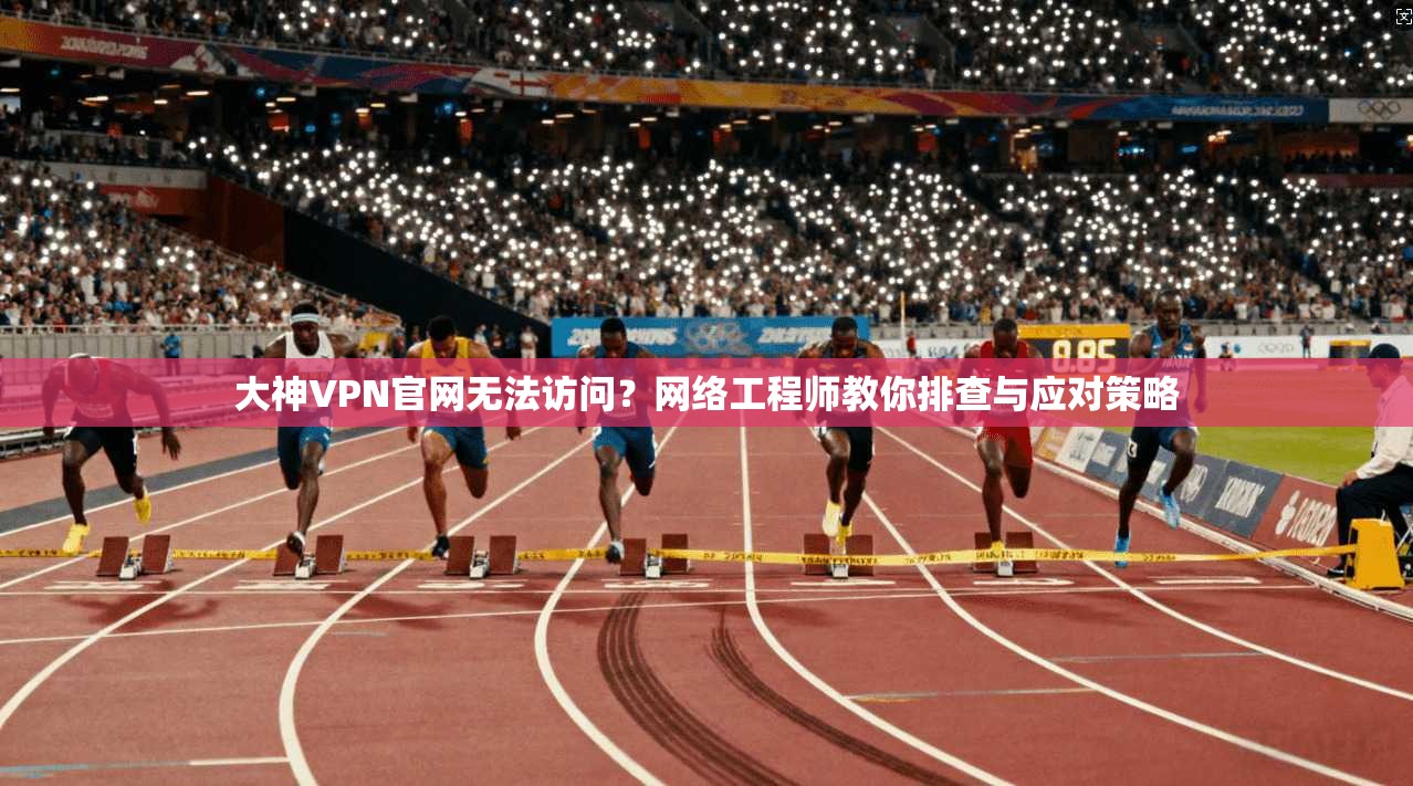大神VPN官网无法访问？网络工程师教你排查与应对策略