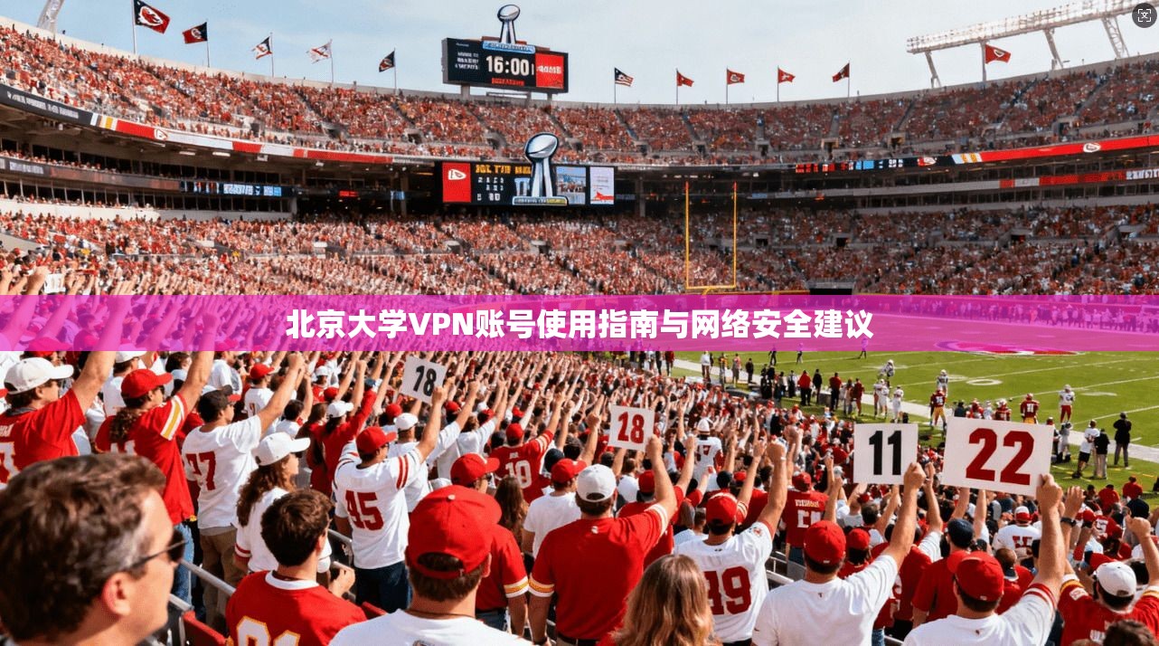 北京大学VPN账号使用指南与网络安全建议