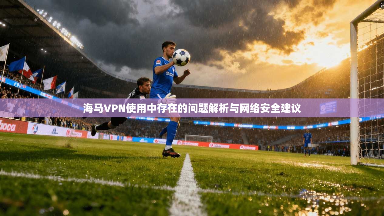 海马VPN使用中存在的问题解析与网络安全建议