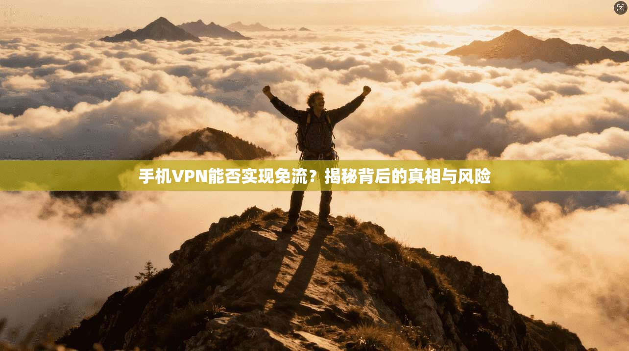 手机VPN能否实现免流？揭秘背后的真相与风险