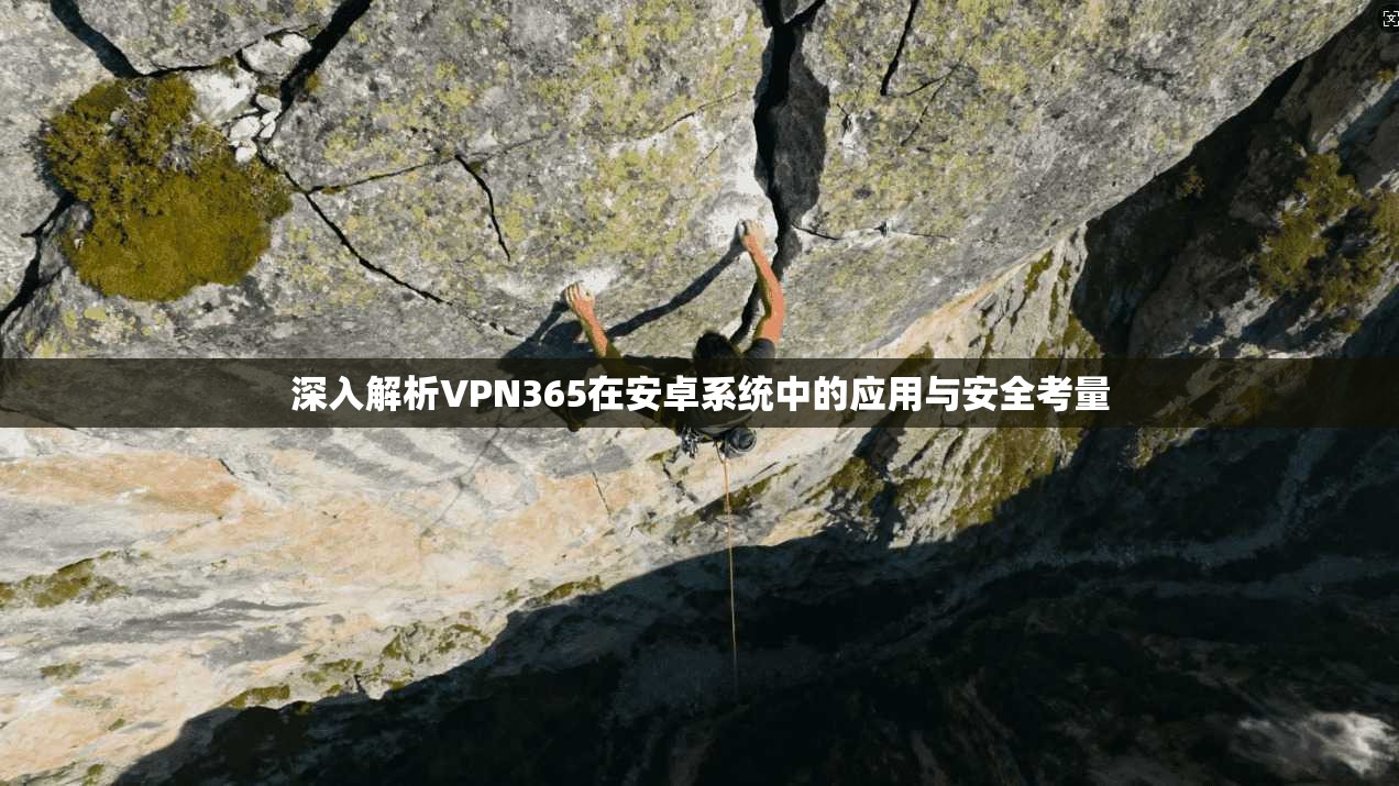 深入解析VPN365在安卓系统中的应用与安全考量
