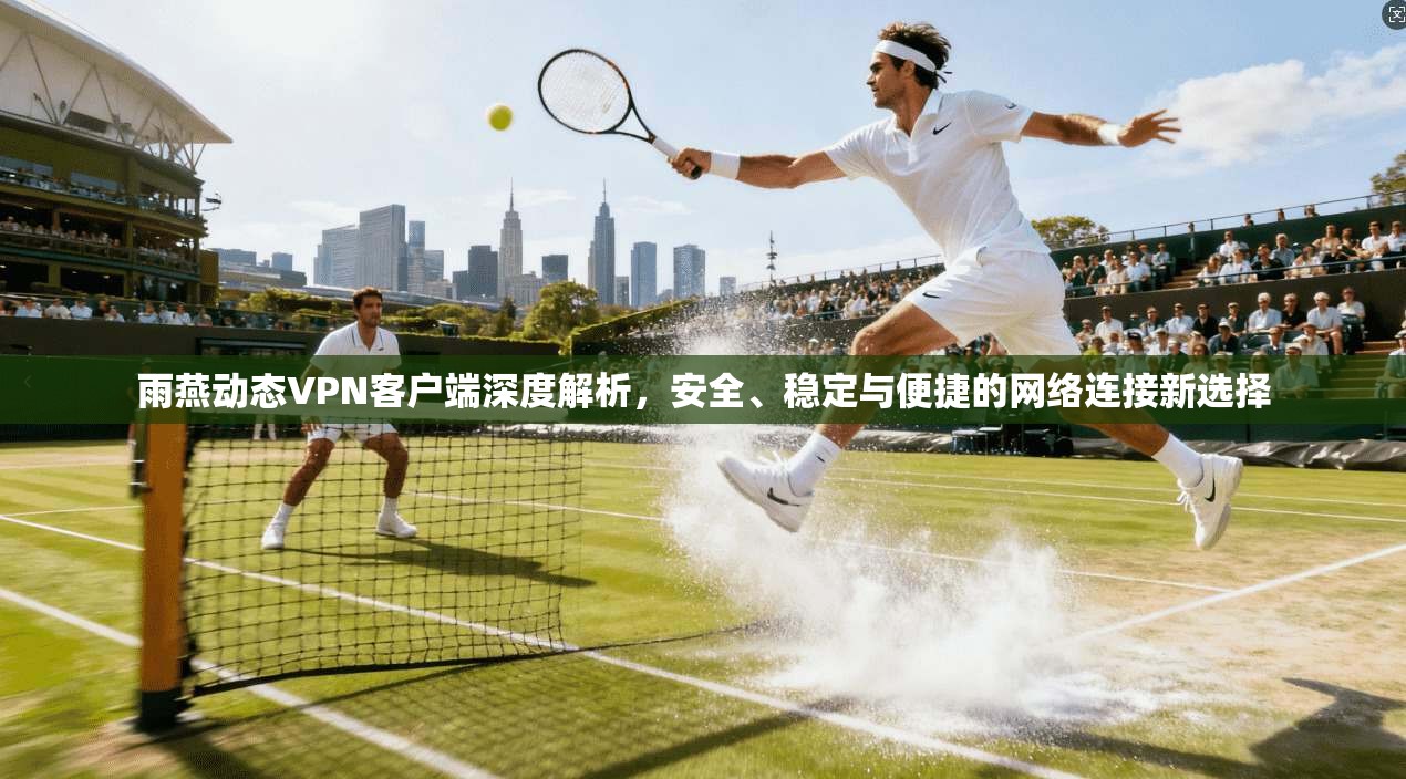 雨燕动态VPN客户端深度解析，安全、稳定与便捷的网络连接新选择