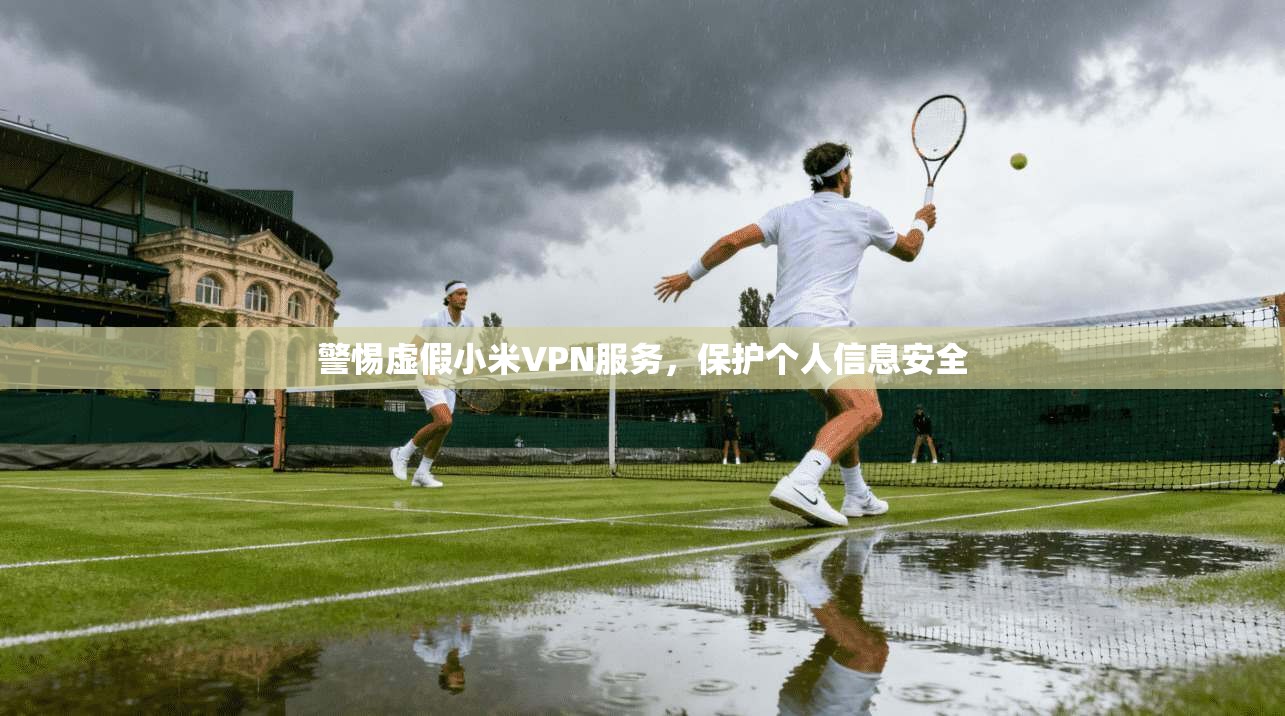 警惕虚假小米VPN服务,保护个人信息安全