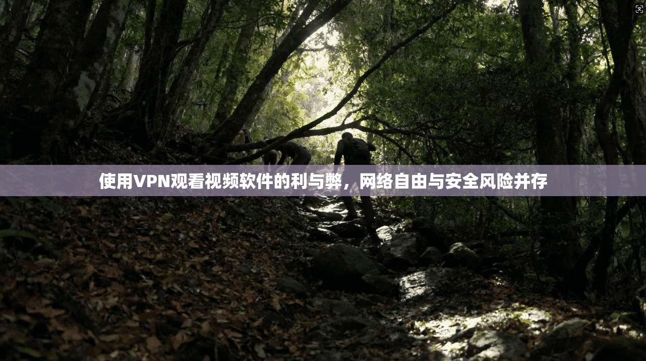 使用VPN观看视频软件的利与弊，网络自由与安全风险并存