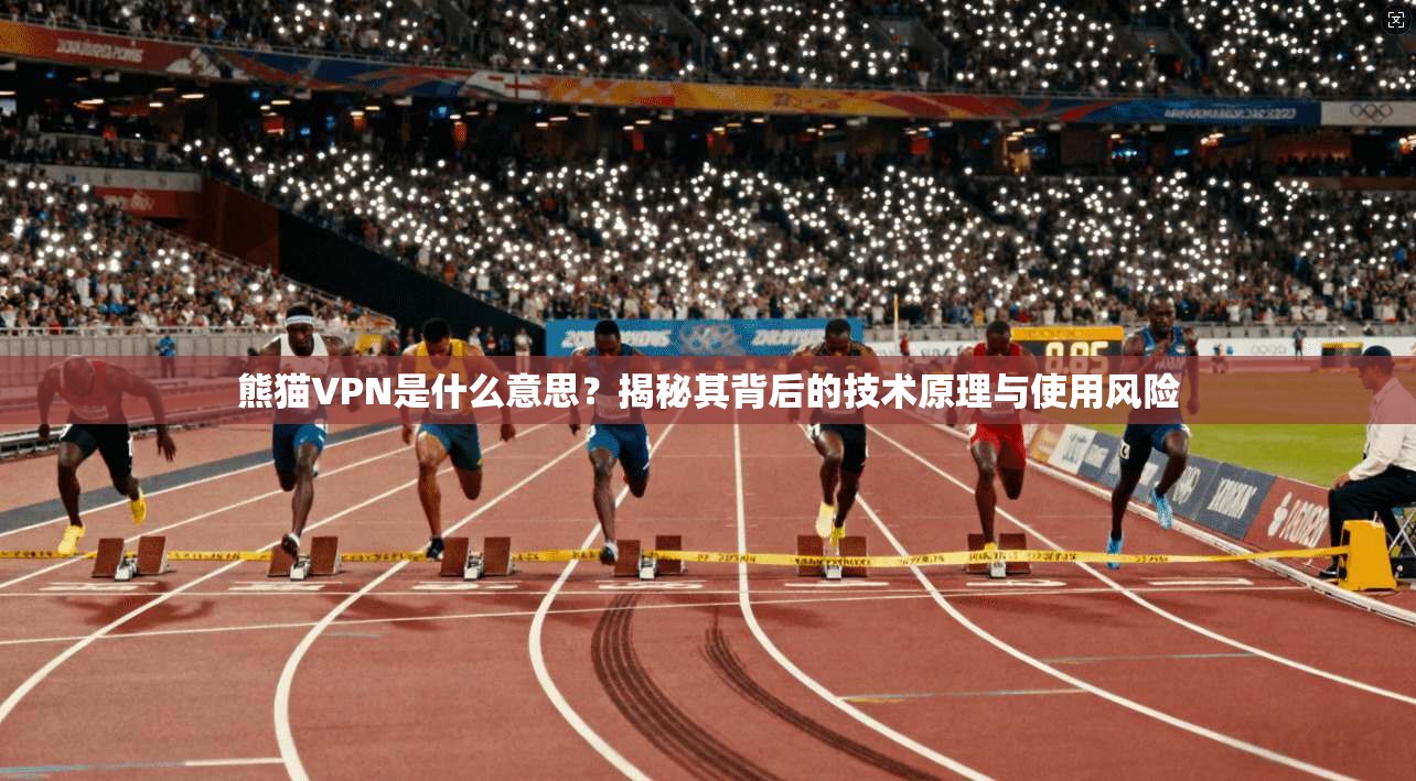 熊猫VPN是什么意思？揭秘其背后的技术原理与使用风险