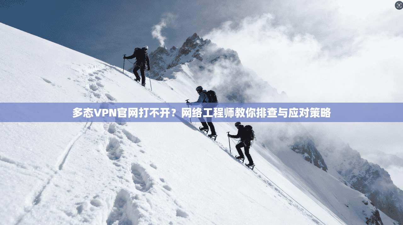 多态VPN官网打不开?网络工程师教你排查与应对策略