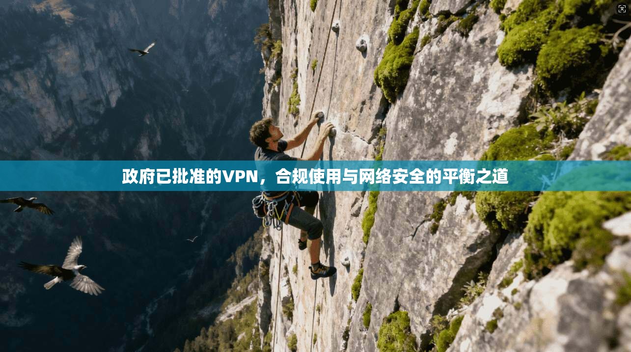 政府已批准的VPN，合规使用与网络安全的平衡之道