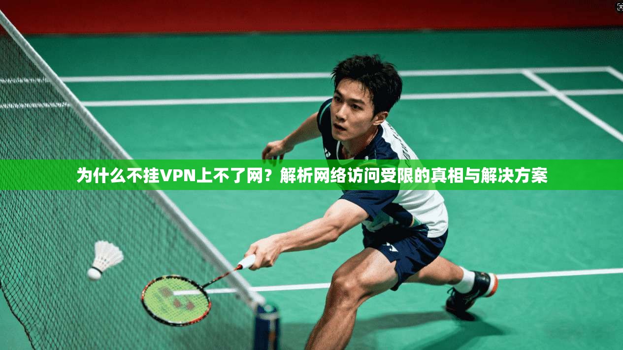 为什么不挂VPN上不了网？解析网络访问受限的真相与解决方案